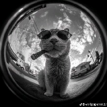 Guest_jovanni03