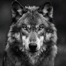 Guest_ChristianLopez7