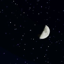 Guest_xhelomardito
