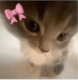 Guest_KAMIYAH371618