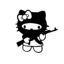 avpic
