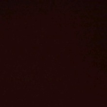 صورة الـavatar