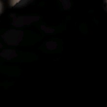 Guest_Lucazini
