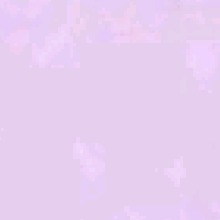 Guest_Alejandra194202