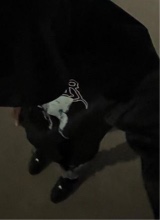 Guest_lando44