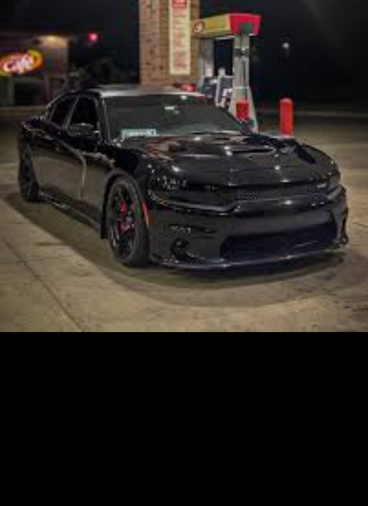 Guest_mikedfa5