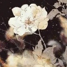 Guest_Dalyla4