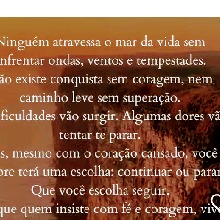 Guest_Luansantos2580