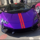 Guest_Carlos572455