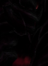 Guest_Ace158888