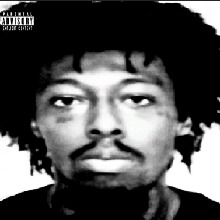 Guest_ZOOCertifiedVINO