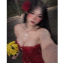 Lisssys
