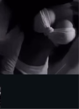 Guest_Lexi694257