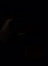 Guest_DANNA209552