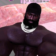 Guest_Bull42