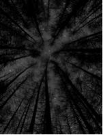 Guest_Natiivex