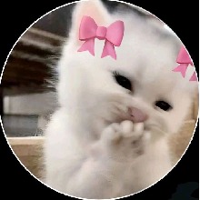 Guest_MARI423143
