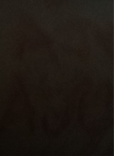 Guest_kayla185500