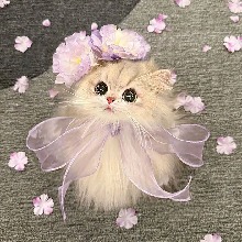 Guest_SofiaZephyr
