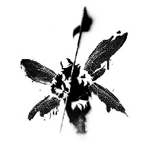 DarkNyx361