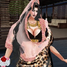 avpic