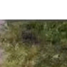 Guest_James16169
