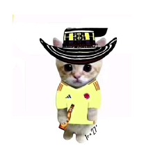 Guest_MRTN11