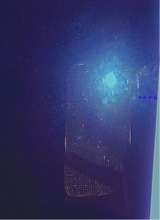 Guest_Jillian23