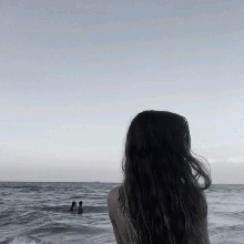 Guest_Camila396573