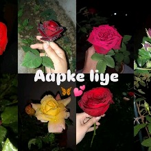 Guest_VivekVivek