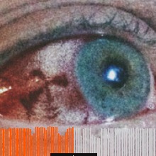 Guest_XxXxCharliexXxX