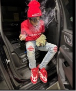 Guest_zay904385