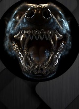 صورة الـavatar