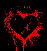 Guest_kayla728643