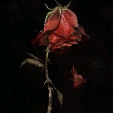 Guest_Sofia1212