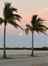 Guest_camila167741