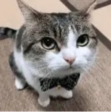 Guest_Lenny273587