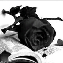 Guest_SafiraS67
