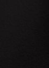 Guest_r693