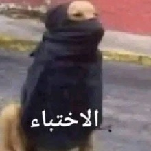 Guest_ZiadEmad