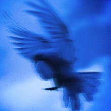 Guest_Unamed2