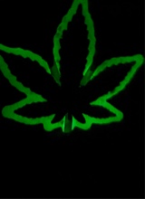 Guest_stary25
