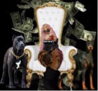 Guest_Prettyfaceyanibackup