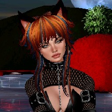 Guest_CINDERELLA226951