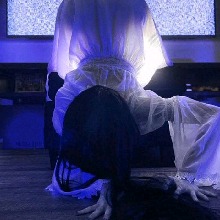 Guest_Alice23742