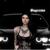 Guest_secretlifeoflyy