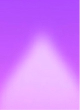 Guest_Hh116252