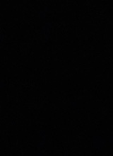 Guest_alex905801