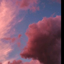 Guest_Sweetiecakes2