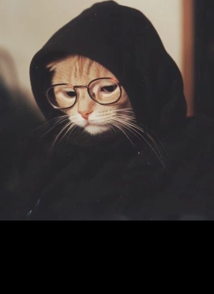 Guest_wildjoellnyblue1bf4